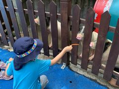 -上海崇明金茂凯悦酒店