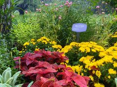 -国家植物园南园