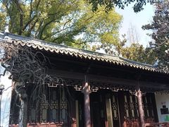 -汇龙潭