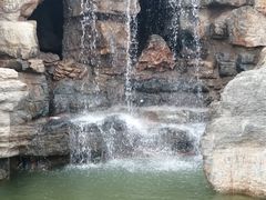 -郑州植物园