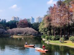 -晓港公园