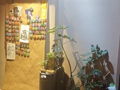 -后院儿·精酿·塔罗Happy Bar