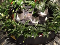 -大鸭梨烤鸭(枣园店)