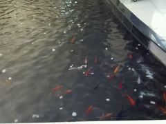 -大和洗浴休闲会所(宏大广场店)
