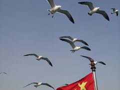 -刘公岛景区