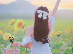 -光明小镇欢乐田园