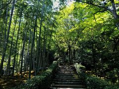 -常寂光寺