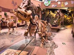 -陕西自然博物馆