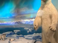 -陕西自然博物馆