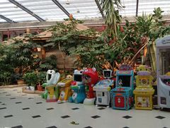 -老山东·山东菜(鲁菜名店)