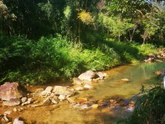 -广州白江湖森林公园