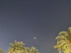 -益健名厨海鲜城(夏湾店)