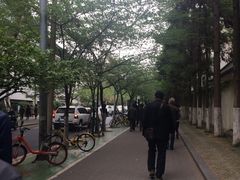 -鸡鸣赐茶(鸡鸣寺路店)