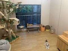 -唐小姐の私宠·宠物洗护美容·撸猫馆·购宠(周浦万达旗舰店)