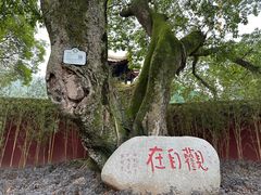 -峨眉山风景名胜区