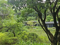 -云溪植物园