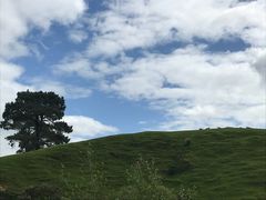 -霍比特人村