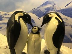 -上海海洋水族馆