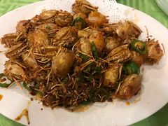 美极罗氏虾虾头-盛港湾海鲜食府(黄沙店)