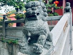 -深圳仙湖植物园