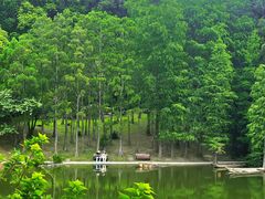 -深圳仙湖植物园