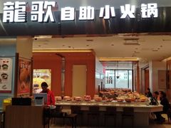 -龍歌自助小火锅(市南金茂湾店)