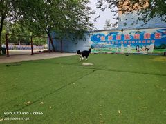 -宠物寄养训练学校