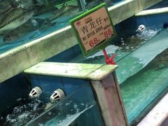 水产区-盆满钵满·国家非遗传承(云台店)