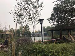 -成飞公园