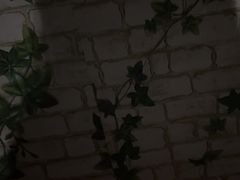 -晟永興烤鸭店(五道口店)