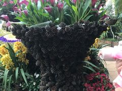 -花之城