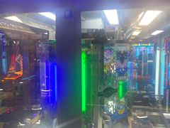 -Xcape异时刻密室逃脱魔法互动(瑞虹天地太阳宫店)