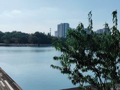-圩墩遗址公园