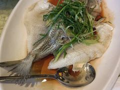 -禄源公·老莞诚饭店