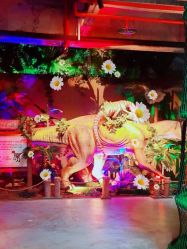 -恐龙探索乐园(磁器口店)