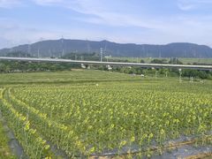 -光明小镇欢乐田园
