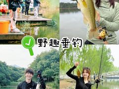 -上海山野camping·户外天幕烧烤·团建拓展营地
