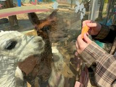 -南京金牛湖风景区