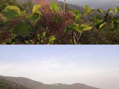 -北京十三陵国家森林公园蟒山景区