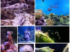 -成都浩海立方海洋公园