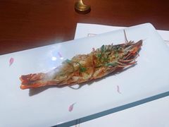 -觀芷隐轩