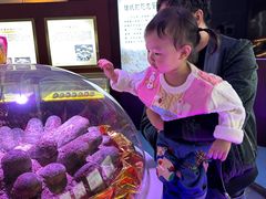-诸城市恐龙博物馆