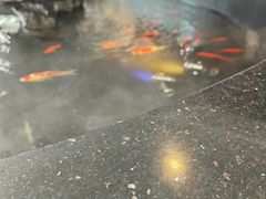 -蓝天宾馆诺瓦咖啡厅