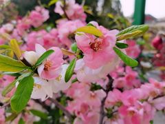-陶然亭公园