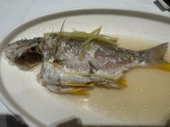 蒸黄花鱼-花城苑广府菜(侨鑫店)