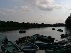 -东寨港红树林旅游区