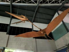 -湖南省地质博物馆