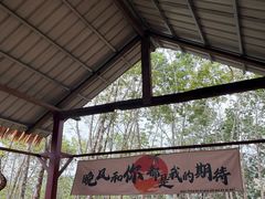 -西双版纳基诺山寨