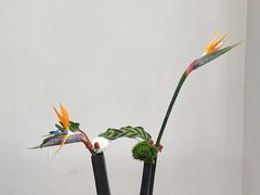 -帝京日语(春熙路旗舰校区)