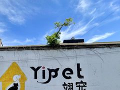 -翊宠yipet猫狗购宠庄园
